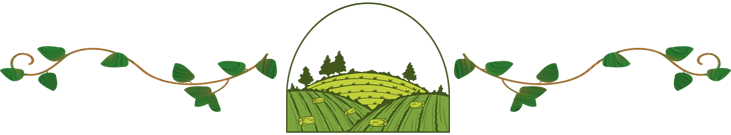 Local fruits and vegetables from Garden of Eat'n CSA in Ellington, CT