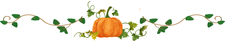 Mums for sale pumpkins for sale